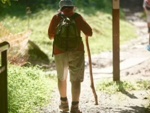 Tourists using walking sticks on steep muddy trails during Bwindi gorilla trek