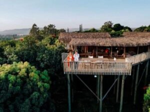 Solar-powered luxury eco-lodge built with sustainable local materials in Bwindi forest