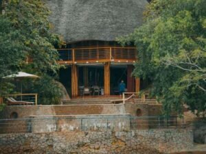 Ultra luxury volcanic stone forest eco lodge overlooking Bwindi gorilla canopy Uganda