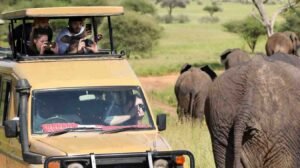 luxury uganda safari packages from mumbai and delhi