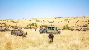 Kenya safari packages Country Sights Tours open sided private 4x4 land cruiser on safari in Maasai Mara Kenya