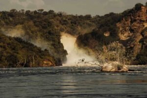 murchison falls safari uganda