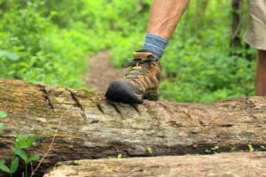 Sturdy waterproof mid ankle hiking boots and technical layers required for a successful chimpanzee trekking uganda rain forest trek