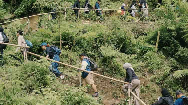 bwindi gorilla trekking difficulty Local porter assisting a traveler on a mountain gorilla tracking tour in Uganda