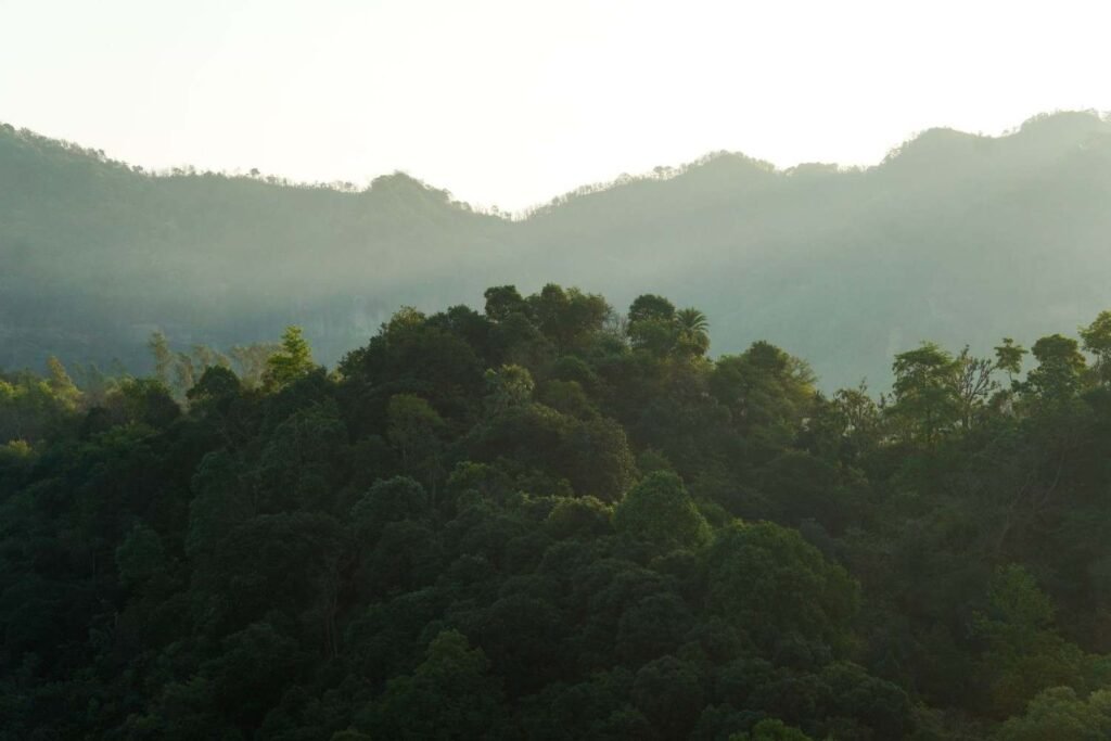 trustworthy tour operators Bwindi gorilla safaris